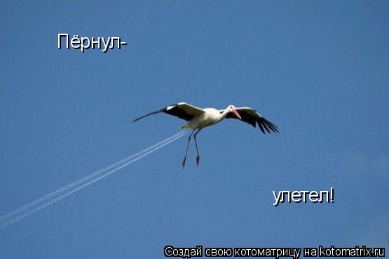 Котоматрица: Пёрнул- улетел!