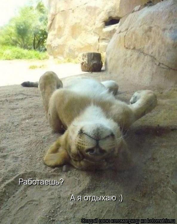 Котоматрица: Работаешь? А я отдыхаю ;)