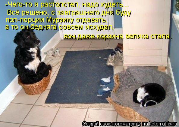 -Чего-то я растолстел, надо худеть... Всё решено, с завтрашнего дня буду пол-порции Мурзику отдавать... Котоматрица: -Чего-то я растолстел, надо худеть... Всё решено, с завтрашнего дня буду пол-порции Мурзику отдавать, а то он бедняга совсем исхудал, вон даж