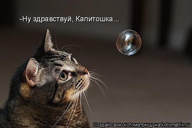 -Ну здравствуй, Капитошка...... Котоматрица: -Ну здравствуй, Капитошка...