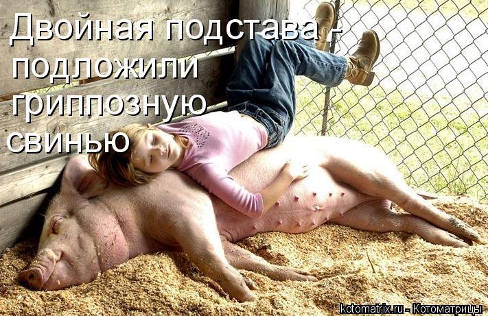 Двойная подстава - подложили гриппозную свинью... Котоматрица: Двойная подстава - подложили гриппозную свинью