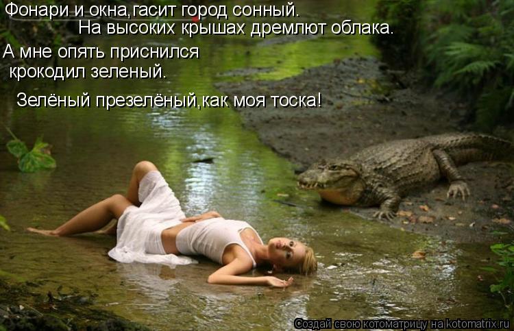 На высоких крышах дремлют облака. А мне опять приснился крокодил зеленый. Фонари и окна,гасит город с... Котоматрица: На высоких крышах дремлют облака. А мне опять приснился крокодил зеленый. Фонари и окна,гасит город сонный. Зелёный презелёный,как моя тоск