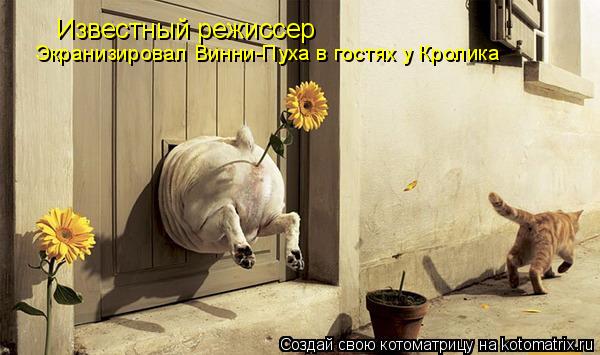 Котоматрица: Известный режиссер Экранизировал Винни-Пуха в гостях у Кролика