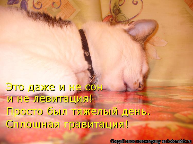Это даже и не сон и не левитация! Просто был тяжелый день. Сплошная гравитация!... Котоматрица: Это даже и не сон и не левитация! Просто был тяжелый день. Сплошная гравитация!