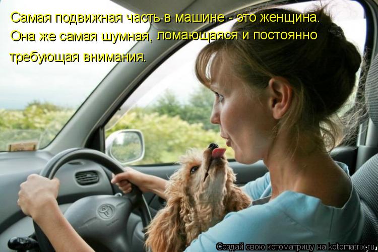 Котоматрица: Самая подвижная часть в машине - это женщина.  Она же самая шумная,  ломающаяся и постоянно  требующая внимания.