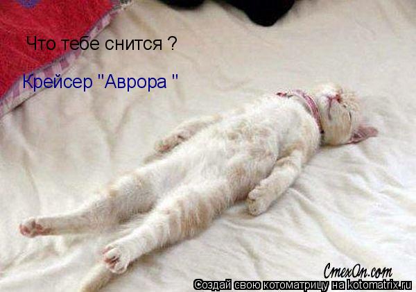 Котоматрица: Что тебе снится ? Крейсер "Аврора "