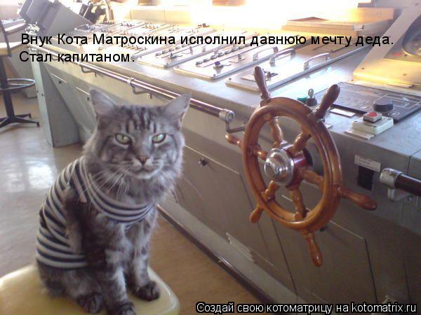 Котоматрица: Внук Кота Матроскина исполнил давнюю мечту деда.  Стал капитаном.