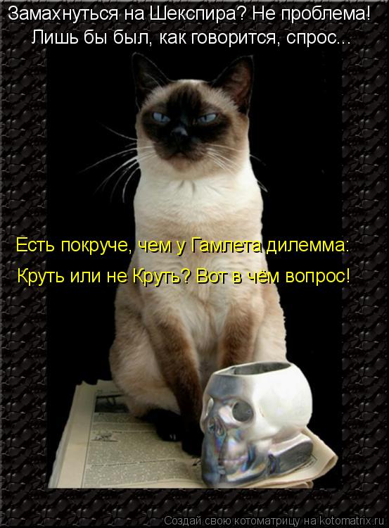 Замахнуться на Шекспира? Не проблема! Лишь бы был, как говорится, спрос... Круть или не Круть? Вот в ... Котоматрица: Замахнуться на Шекспира? Не проблема! Лишь бы был, как говорится, спрос... Круть или не Круть? Вот в чём вопрос! Есть покруче, чем у Гамлета дил