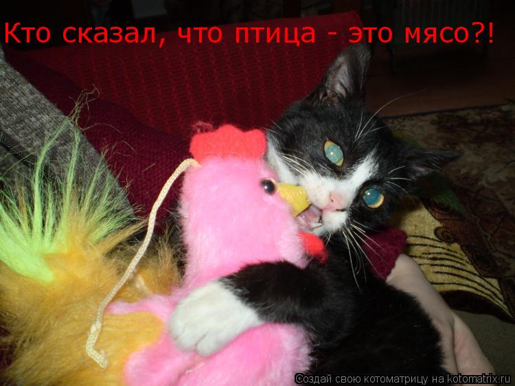 Кто сказал, что птица - это мясо?!... Котоматрица: Кто сказал, что птица - это мясо?!