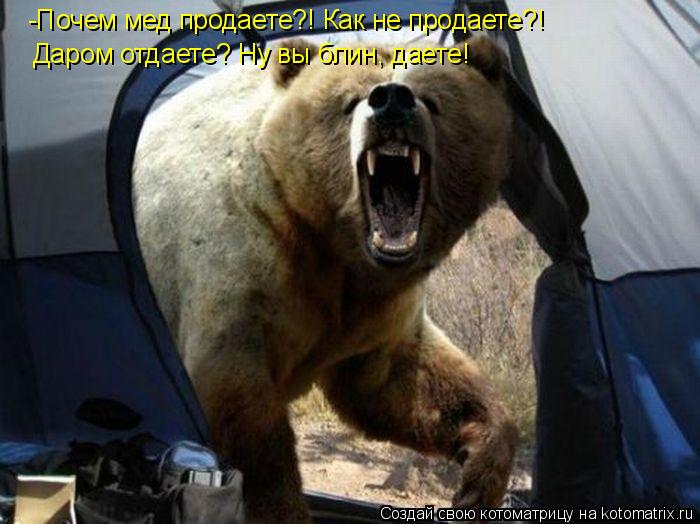 -Почем мед продаете?! Как не продаете?! Даром отдаете? Ну вы блин, даете!... Котоматрица: -Почем мед продаете?! Как не продаете?! Даром отдаете? Ну вы блин, даете!
