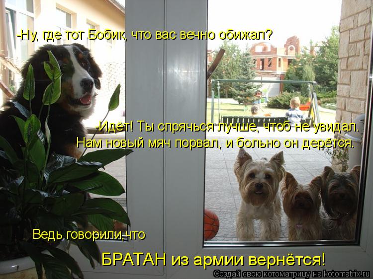 -Ну, где тот Бобик, что вас вечно обижал? -Идёт! Ты спрячься лучше, чтоб не увидал. Нам новый мяч пор... Котоматрица: -Ну, где тот Бобик, что вас вечно обижал? -Идёт! Ты спрячься лучше, чтоб не увидал. Нам новый мяч порвал, и больно он дерётся. Ведь говорили,что