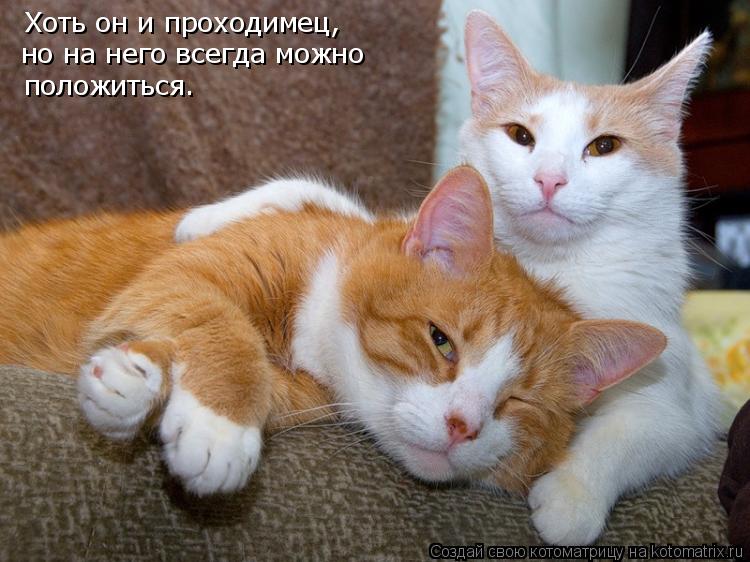 Хоть он и проходимец, но на него всегда можно положиться.... Котоматрица: Хоть он и проходимец, но на него всегда можно положиться.