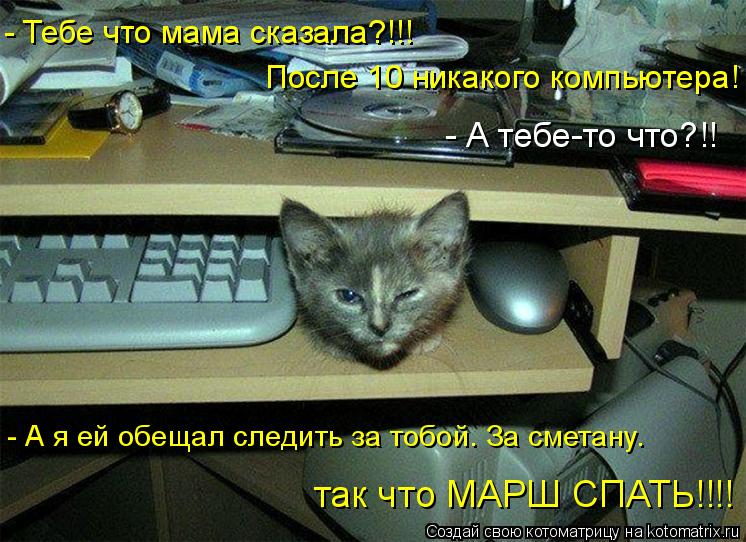 После 10 никакого компьютера! - А я ей обещал следить за тобой. За сметану. так что МАРШ СПАТЬ!!!! -... Котоматрица: После 10 никакого компьютера! - А я ей обещал следить за тобой. За сметану. так что МАРШ СПАТЬ!!!! - Тебе что мама сказала?!!! - А тебе-то что?!!