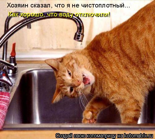 Хозяин сказал, что я не чистоплотный... Как хорошо, что воду отключили!... Котоматрица: Хозяин сказал, что я не чистоплотный... Как хорошо, что воду отключили!