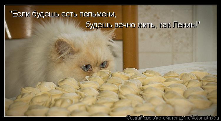 Котоматрица: "Если будешь есть пельмени, будешь вечно жить, как Ленин!"