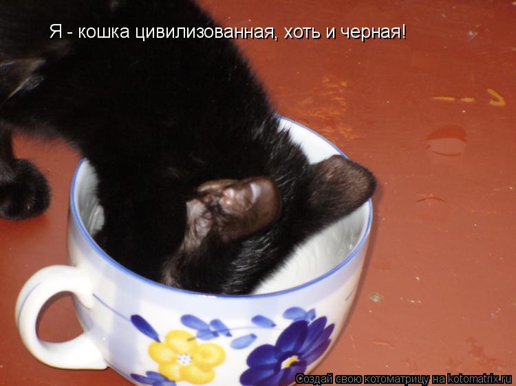 Котоматрица: Я - кошка цивилизованная, хоть и черная!