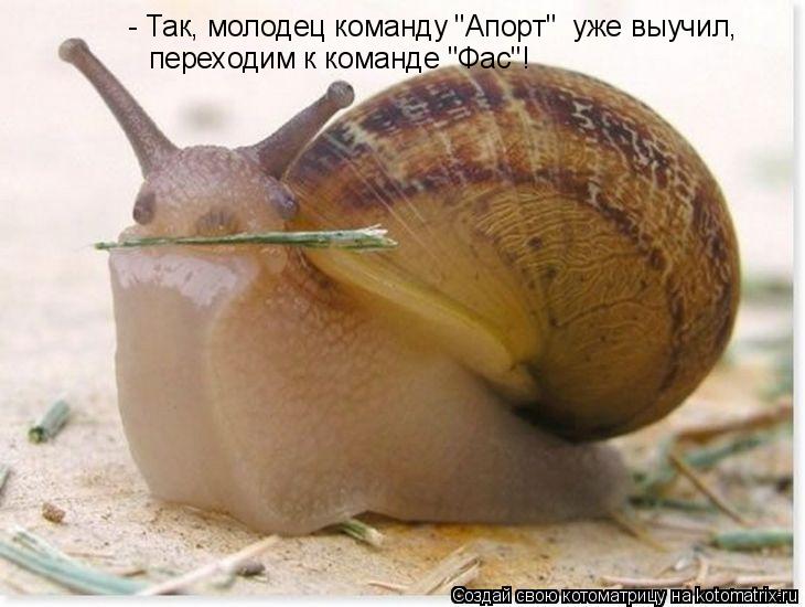 - Так, молодец команду "Апорт" уже выучил, переходим к команде "Фас"!... Котоматрица: - Так, молодец команду "Апорт" уже выучил, переходим к команде "Фас"!