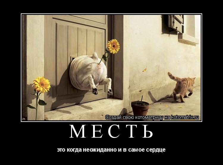 http://kotomatrix.ru/images/lolz/2009/06/11/jG.jpg