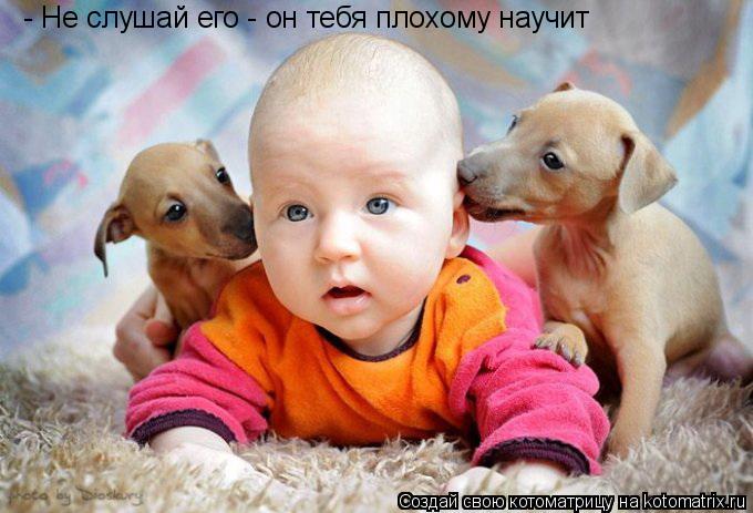 Котоматрица: - Не слушай его - он тебя плохому научит
