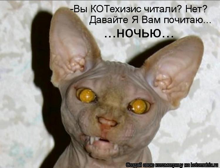 -Вы КОТехизис читали? Нет? Давайте Я Вам почитаю... ...ночью...... Котоматрица: -Вы КОТехизис читали? Нет? Давайте Я Вам почитаю... ...ночью...