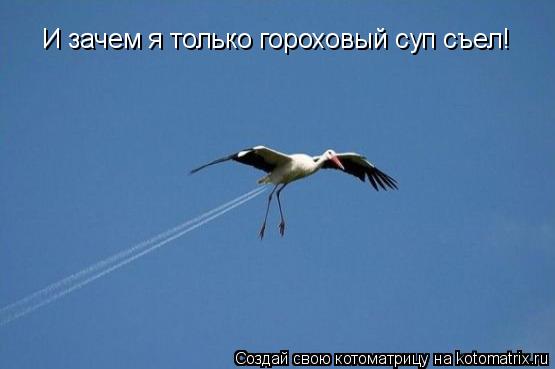 Котоматрица: И зачем я только гороховый суп съел!