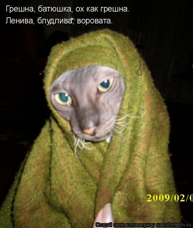 Грешна, батюшка, ох как грешна. Ленива, блудлива, воровата.... Котоматрица: Грешна, батюшка, ох как грешна. Ленива, блудлива, воровата.