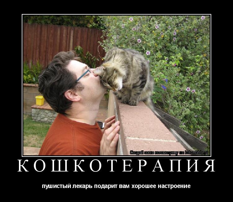 Котоматрица: кошкотерапия пушистый лекарь подарит вам хорошее настроение