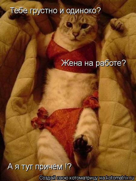 Тебе грустно и одиноко? Жена на работе? А я тут причём !?... Котоматрица: Тебе грустно и одиноко? Жена на работе? А я тут причём !?