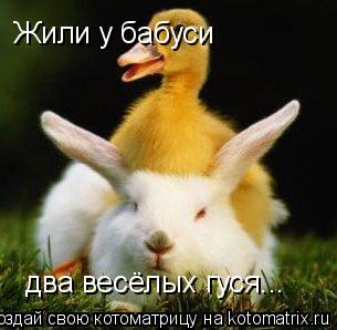 Жили у бабуси два весёлых гуся... Жили у бабуси два весёлых гуся...... Котоматрица: Жили у бабуси два весёлых гуся... Жили у бабуси два весёлых гуся...