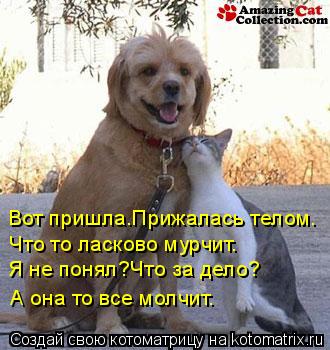 Вот пришла.Прижалась телом. Что то ласково мурчит. Я не понял?Что за дело? А она то все молчит.... Котоматрица: Вот пришла.Прижалась телом. Что то ласково мурчит. Я не понял?Что за дело? А она то все молчит.