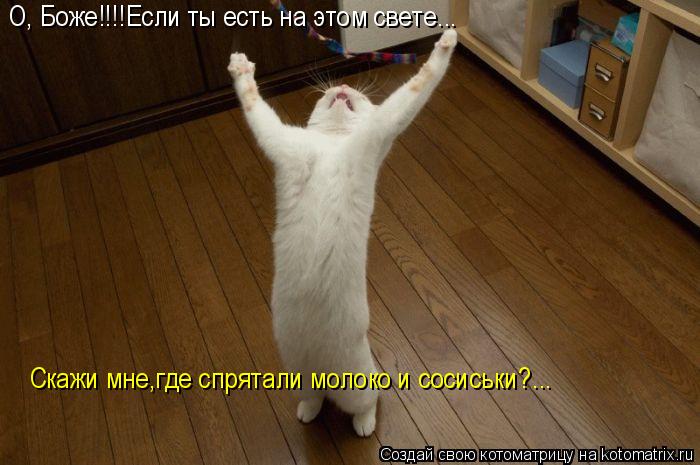 О, Боже!!!!Если ты есть на этом свете... Скажи мне,где спрятали молоко и сосиськи?...... Котоматрица: О, Боже!!!!Если ты есть на этом свете... Скажи мне,где спрятали молоко и сосиськи?...