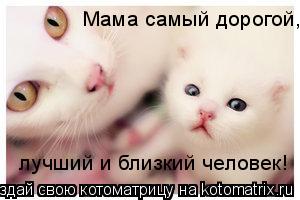 Котоматрица: Мама самый дорогой, лучший и близкий человек!