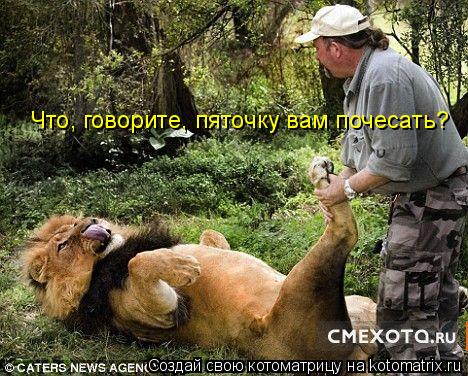 Котоматрица: Что, говорите, пяточку вам почесать?