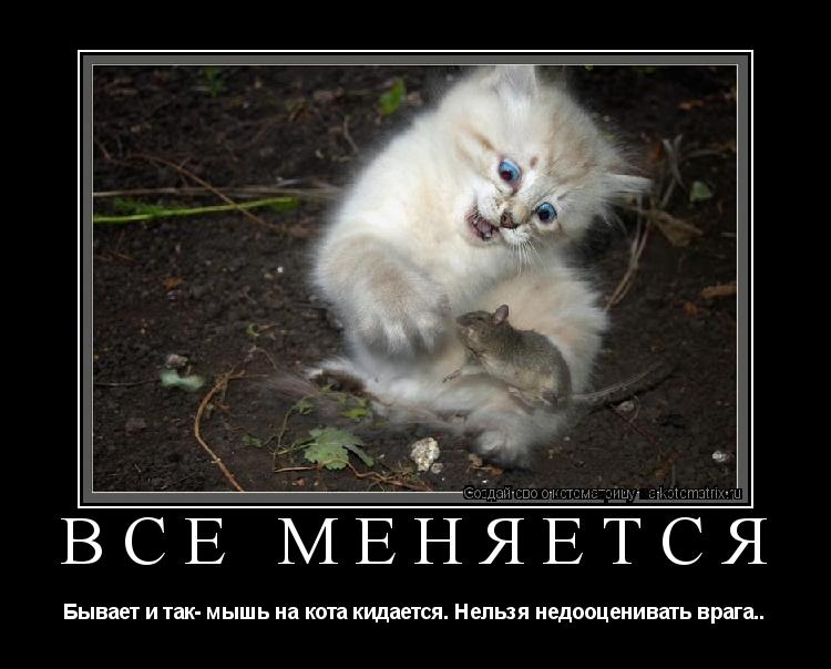 Всё меняется Бывает и так- мышь на кота кидается. Нельзя недооценивать врага..... Котоматрица: Всё меняется Бывает и так- мышь на кота кидается. Нельзя недооценивать врага..