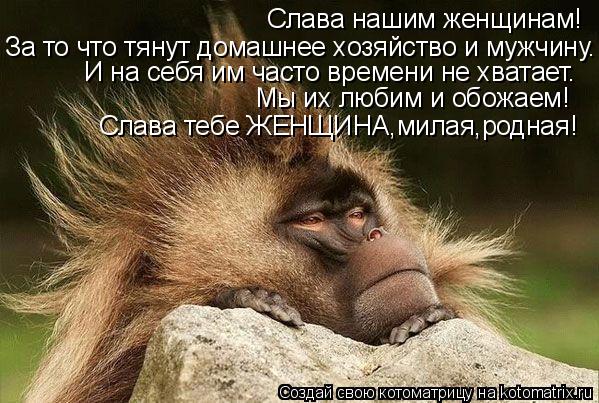 Слава нашим женщинам! За то что тянут домашнее хозяйство и мужчину. И на себя им часто времени не хва... Котоматрица: Слава нашим женщинам! За то что тянут домашнее хозяйство и мужчину. И на себя им часто времени не хватает. Мы их любим и обожаем! Слава тебе Ж