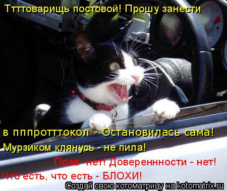 в пппротттокол - Остановилась сама! Ттттоварищь постовой! Прошу занести Что есть, что есть - БЛОХИ! П... Котоматрица: в пппротттокол - Остановилась сама! Ттттоварищь постовой! Прошу занести Что есть, что есть - БЛОХИ! Прав -нет! Довереннности - нет! Мурзиком кл