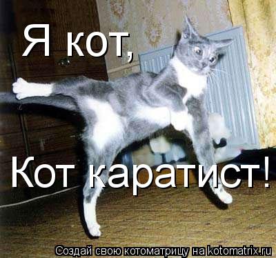 Я кот, Кот каратист!... Котоматрица: Я кот, Кот каратист!