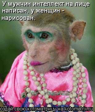 У мужчин интеллект на лице написан, у женщин - нарисован.... Котоматрица: У мужчин интеллект на лице написан, у женщин - нарисован.
