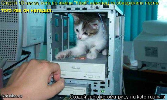 Котоматрица: Спустя 10 часов, кота по имени "Клей" наконец то обнаружили после  того как он нагадил.