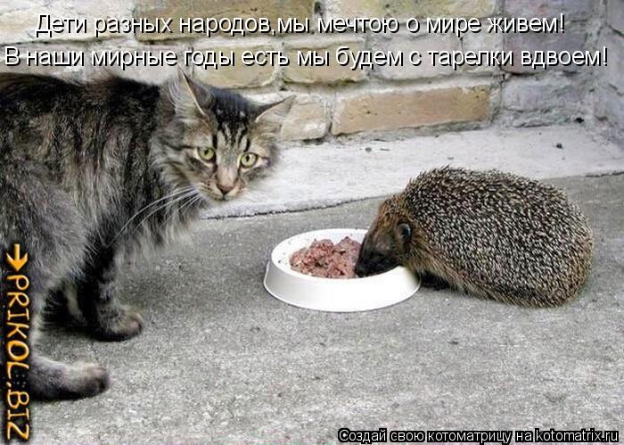 Котоматрица: Дети разных народов,мы мечтою о мире живем! В наши мирные годы есть мы будем с тарелки вдвоем!