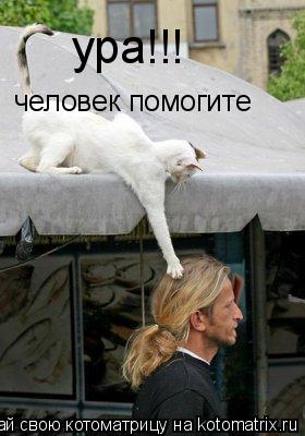 ура!!! человек помогите... Котоматрица: ура!!! человек помогите