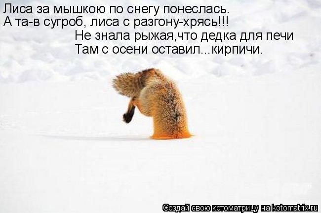 Лиса за мышкою по снегу понеслась. А та-в сугроб, лиса с разгону-хрясь!!! Не знала рыжая,что дедка дл... Котоматрица: Лиса за мышкою по снегу понеслась. А та-в сугроб, лиса с разгону-хрясь!!! Не знала рыжая,что дедка для печи Там с осени оставил...кирпичи.