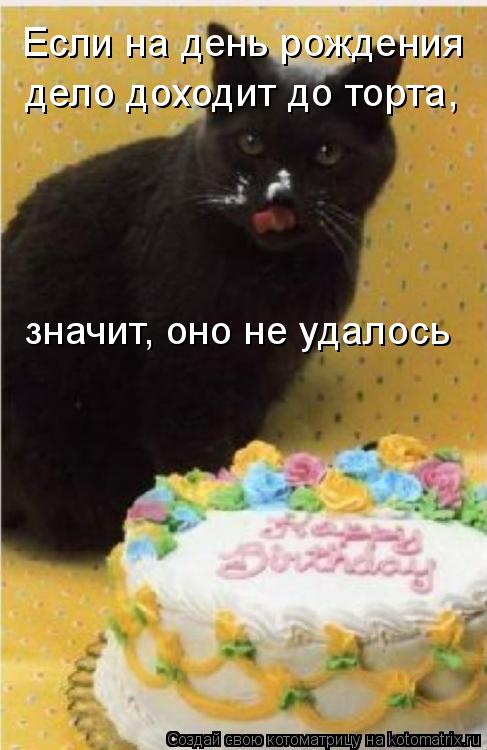 Котоматрица: Если на день рождения  дело доходит до торта, значит, оно не удалось