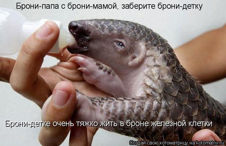Брони-папа с брони-мамой, заберите брони-детку Брони-детке очень тяжко жить в броне железной клетки... Котоматрица: Брони-папа с брони-мамой, заберите брони-детку Брони-детке очень тяжко жить в броне железной клетки