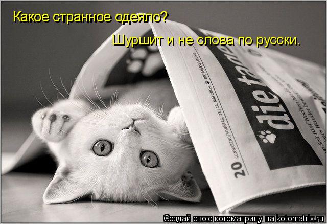 Котоматрица: Какое странное одеяло?  Какое странное одеяло?  Шуршит и не слова по русски.