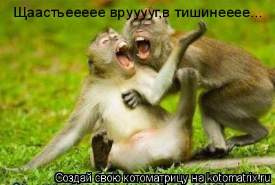 Котоматрица: Щаастьеееее врууууг,в тишинееее...