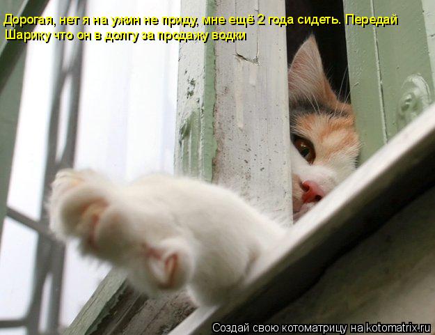 Котоматрица: Дорогая, нет я на ужин не приду, мне ещё 2 года сидеть. Передай  Шарику что он в долгу за продажу водки