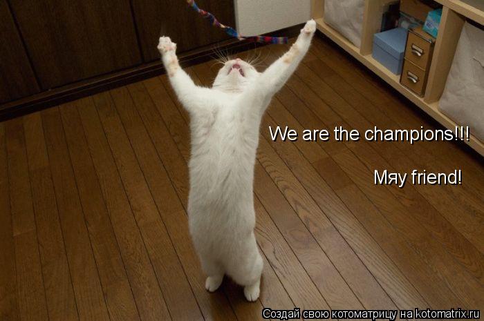 Котоматрица: We are the champions!!! Мяу friend!