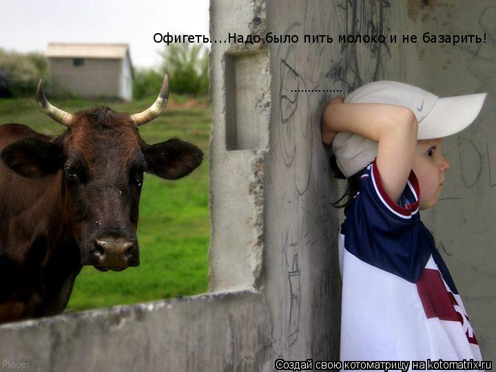 ............... Офигеть....Надо было пить молоко и не базарить!... Котоматрица: ............... Офигеть....Надо было пить молоко и не базарить!