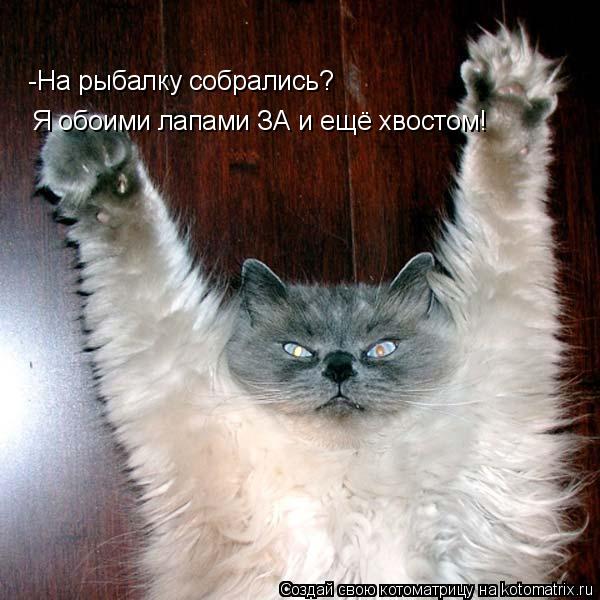 Котоматрица: Я обоими лапами ЗА и ещё хвостом!  -На рыбалку собрались?